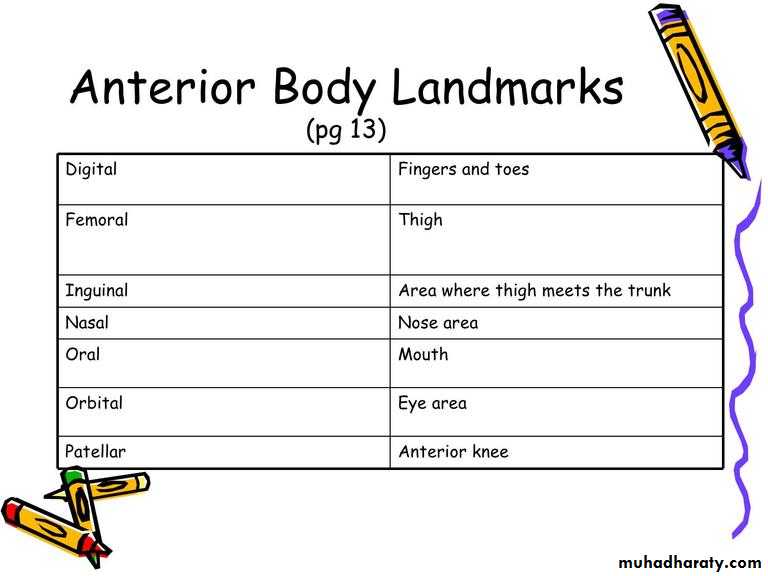 Intro lecture 1