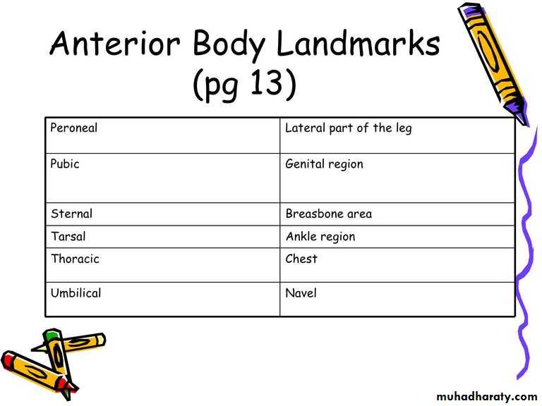 Intro lecture 1