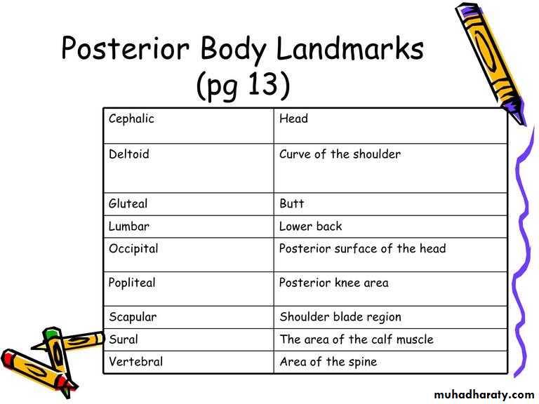 Intro lecture 1