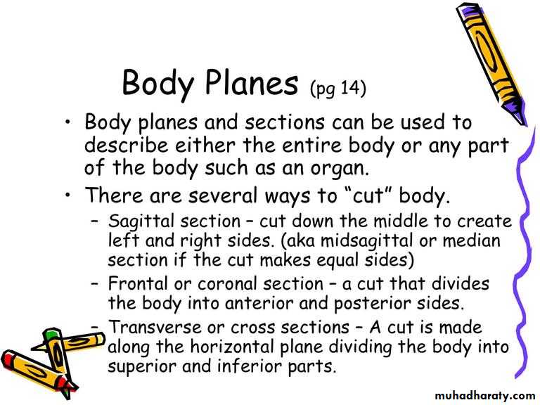 Intro lecture 1