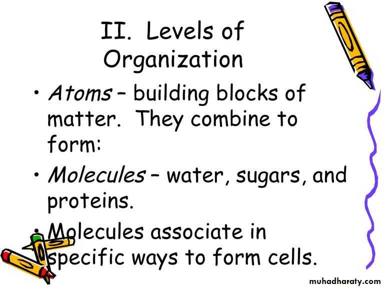 Intro lecture 1