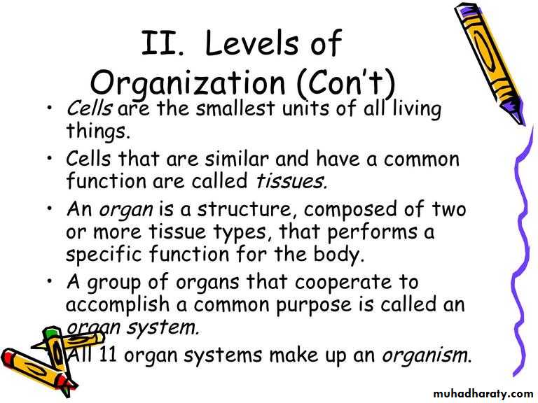 Intro lecture 1