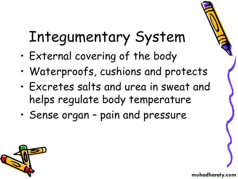 Intro lecture 1