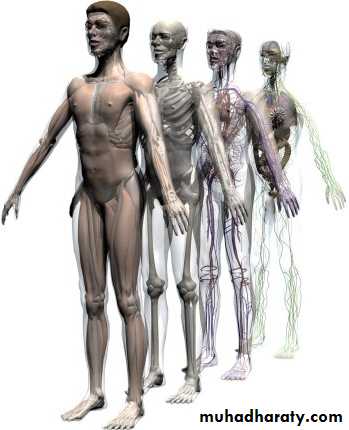 Intro lecture 1