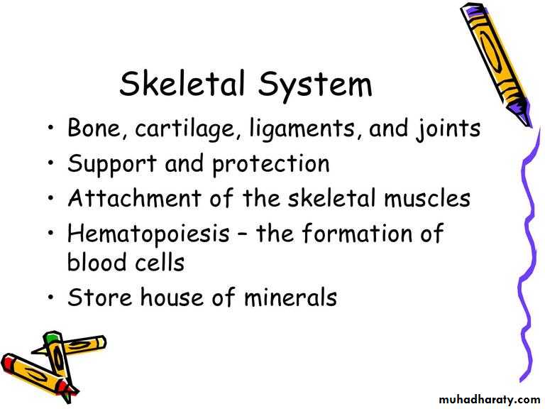 Intro lecture 1