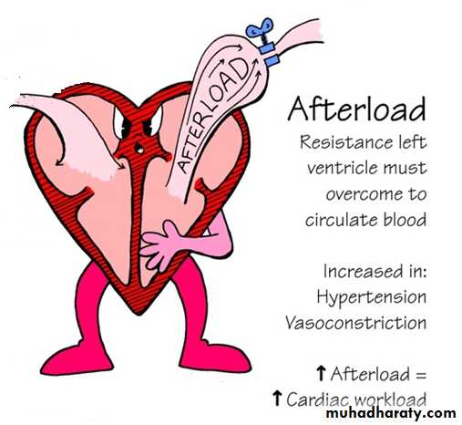 Heart Failure (HF)