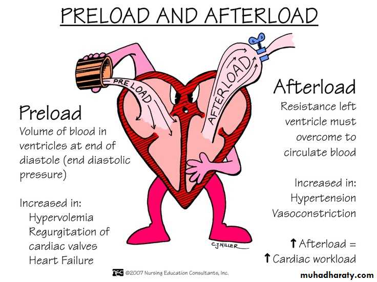 Heart Failure (HF)