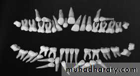 surgical aid to orthodonatic