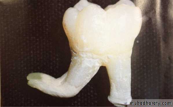 surgical aid to orthodonatic