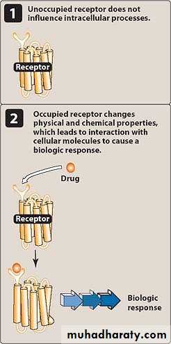drug receptors