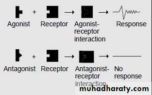 drug receptors