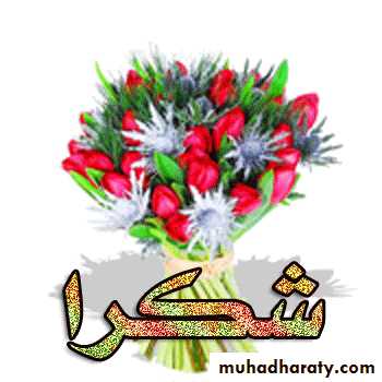 الفصل الاول (السلوك الطبي المهني وآداب مهنة الطب)