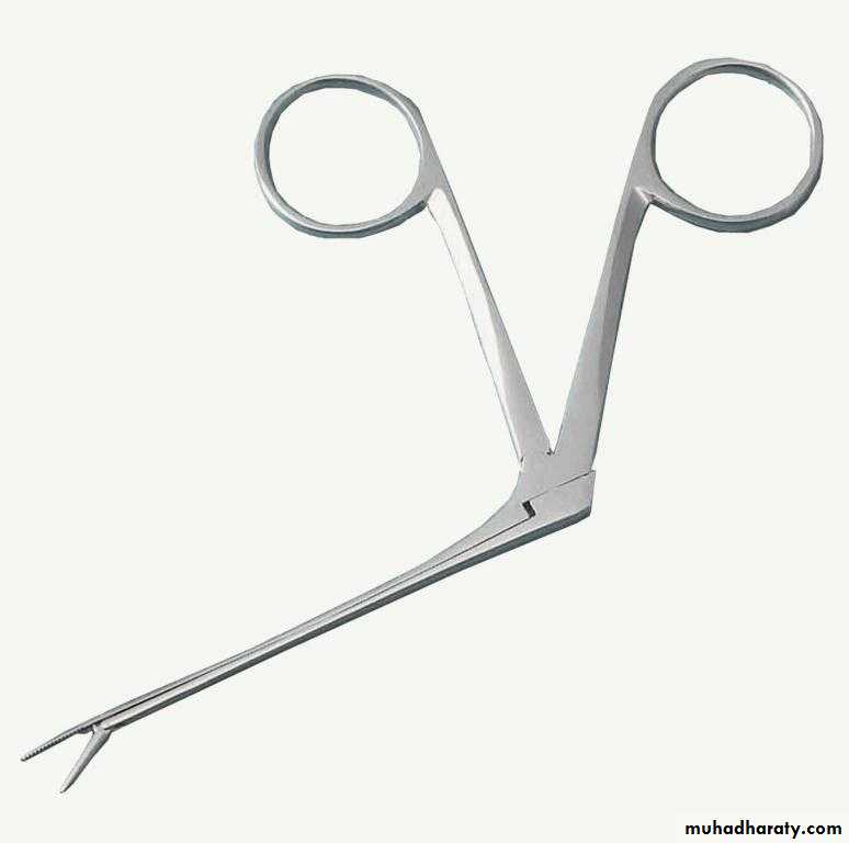 Practical ENT
