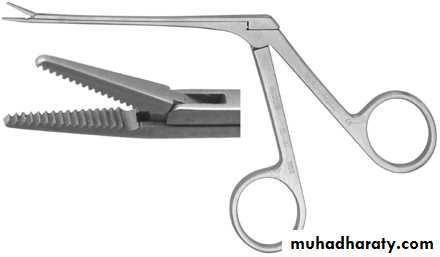 Practical ENT