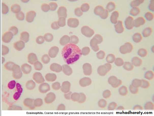 WBCdisorder
