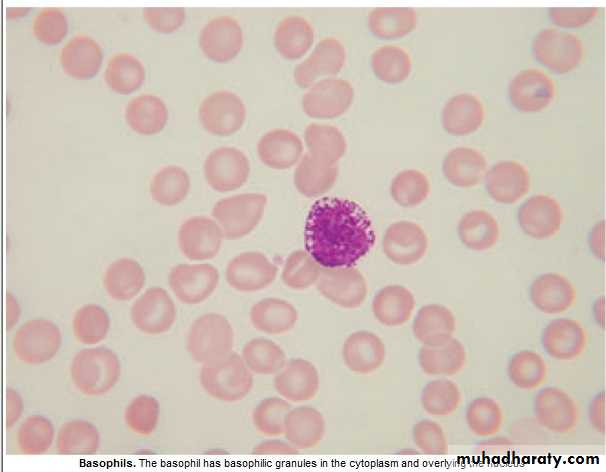 WBCdisorder