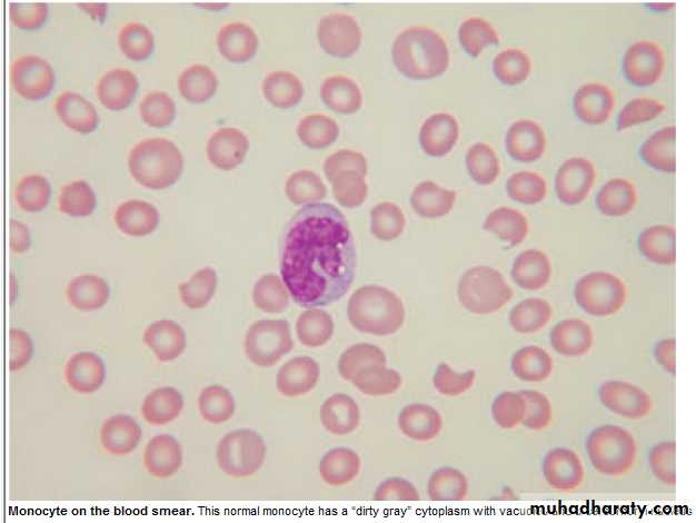 WBCdisorder