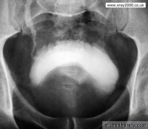 urology