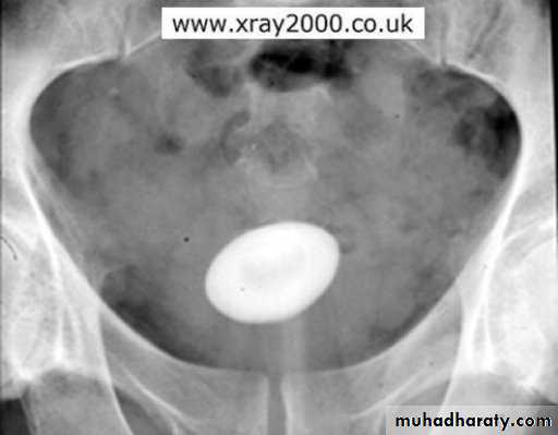 urology