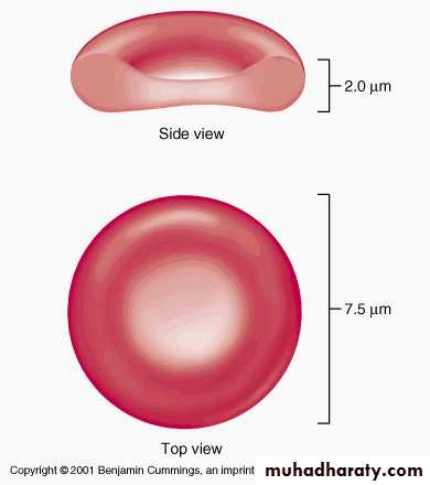 cell 1