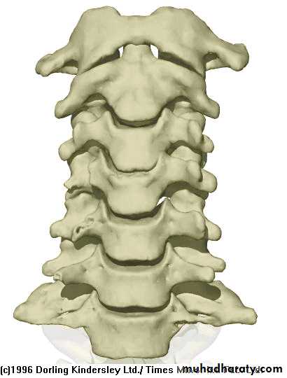 Injuries of the thoracic spine