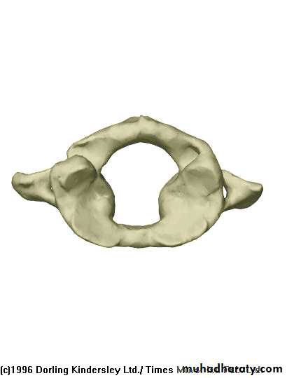 Injuries of the thoracic spine