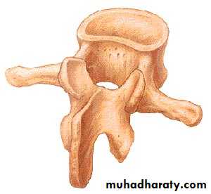 Injuries of the thoracic spine