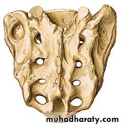 Injuries of the thoracic spine