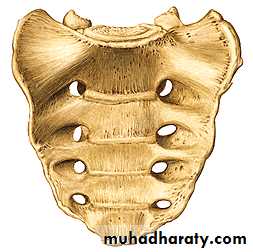 Injuries of the thoracic spine
