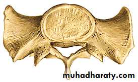Injuries of the thoracic spine