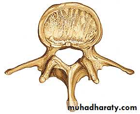 Injuries of the thoracic spine
