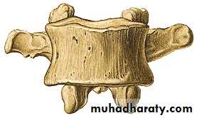 Injuries of the thoracic spine
