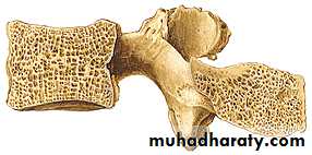 Injuries of the thoracic spine