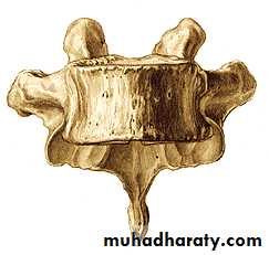 Injuries of the thoracic spine