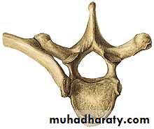 Injuries of the thoracic spine