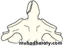 Injuries of the thoracic spine