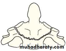 Injuries of the thoracic spine