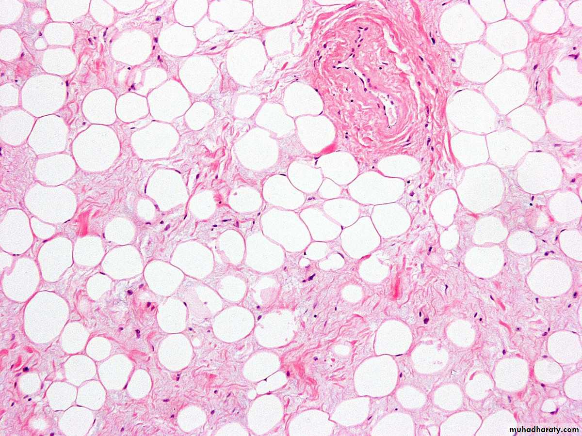 Cellular Activity