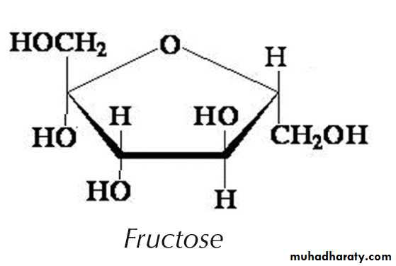 Cellular Activity