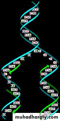 Cellular Activity