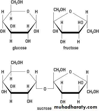 Cellular Activity