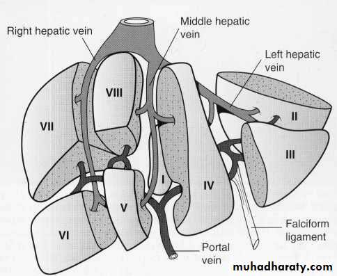 Endoscopic GIT