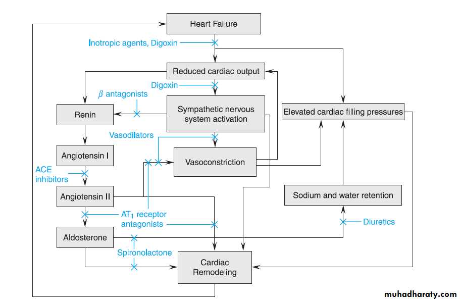 Heart failure 1