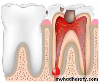 Oral microbiology