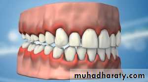 Oral microbiology