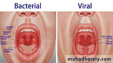 Oral microbiology