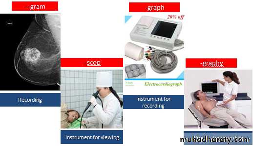 A course in medical terminology