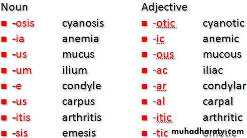 A course in medical terminology