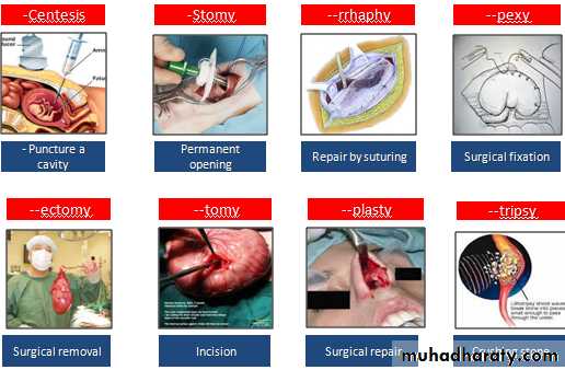 A course in medical terminology