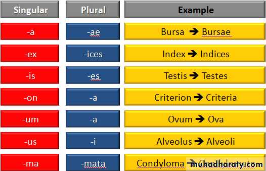 A course in medical terminology
